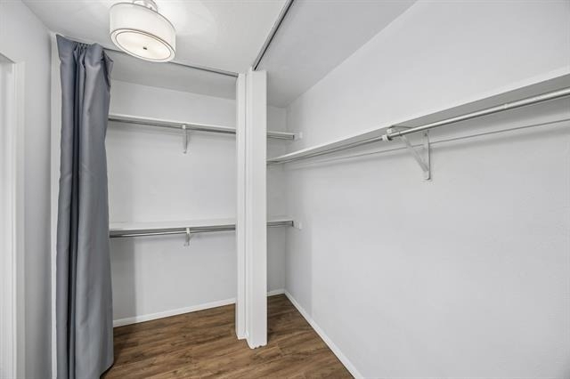 2908 Clear Springs Drive - Photo 23