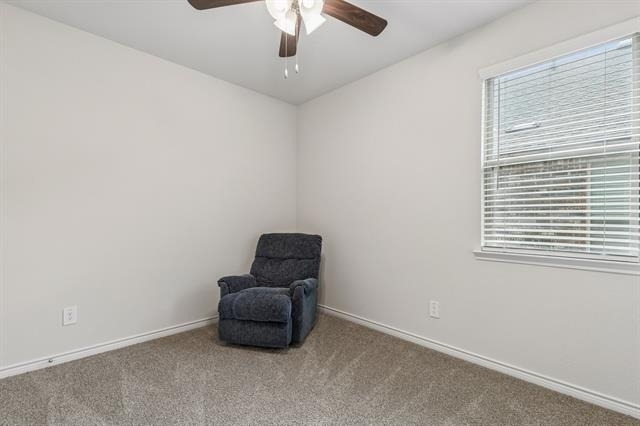 10313 Geode Street - Photo 7