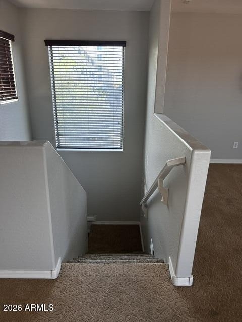 1731 E Elgin Street - Photo 29