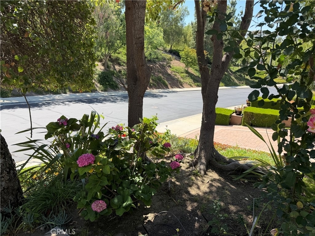 16333 Fox Hollow - Photo 3
