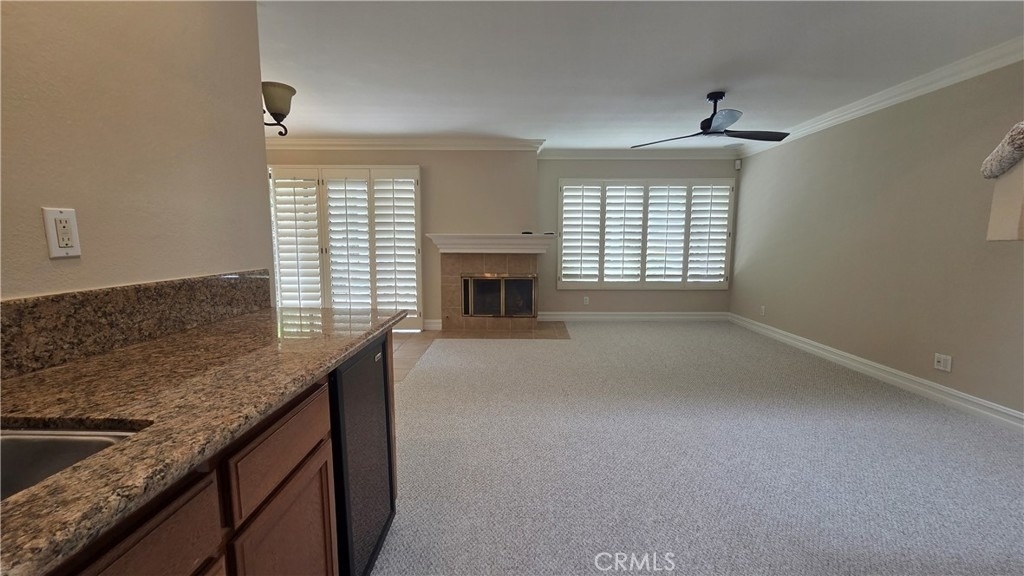22141 Newbridge - Photo 9