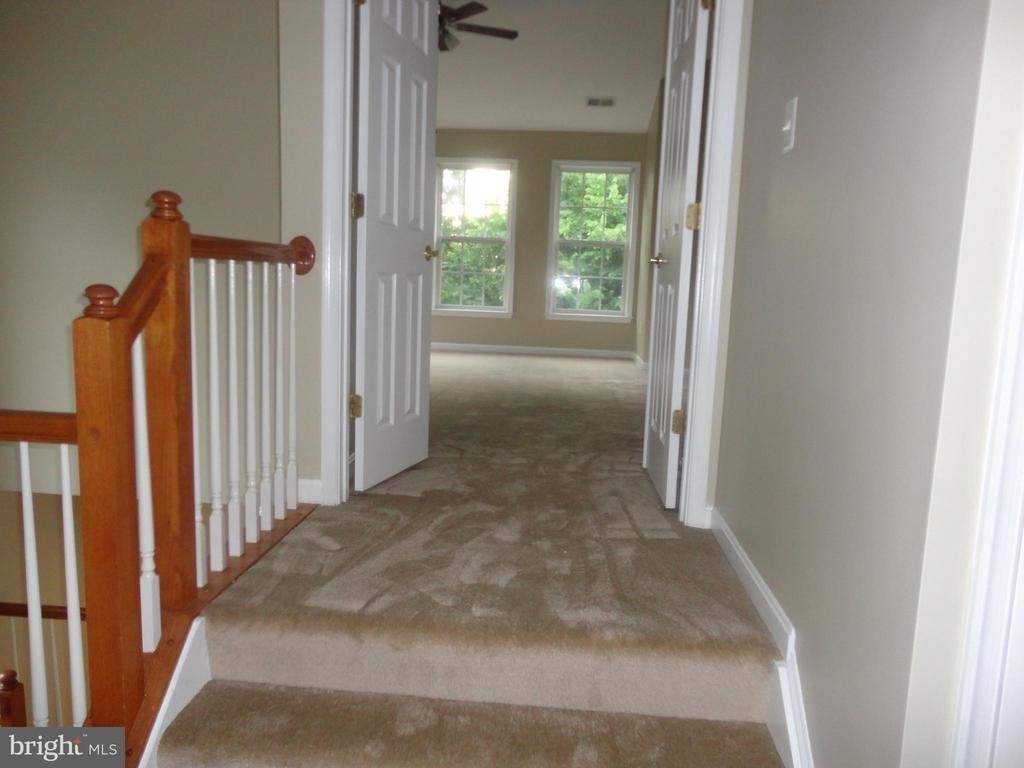 24753 Carbonate Terrace - Photo 21