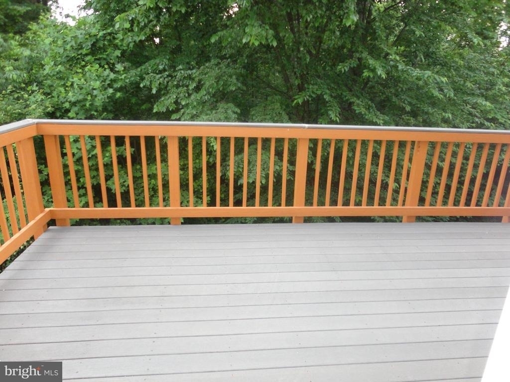 24753 Carbonate Terrace - Photo 39