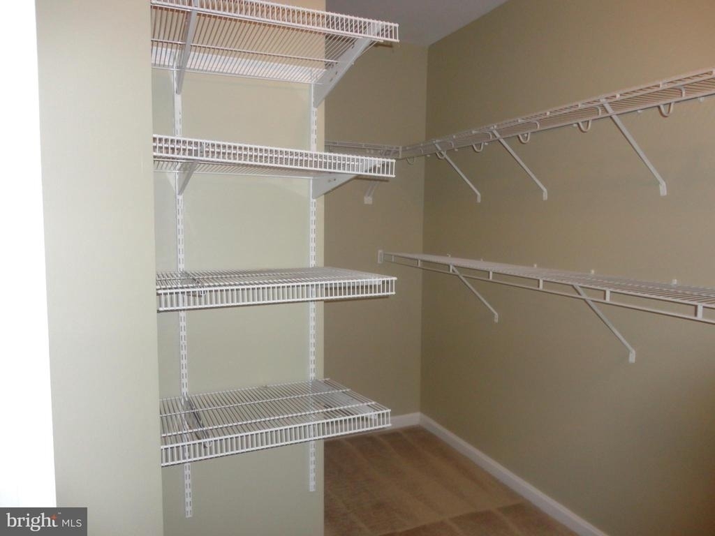 24753 Carbonate Terrace - Photo 33
