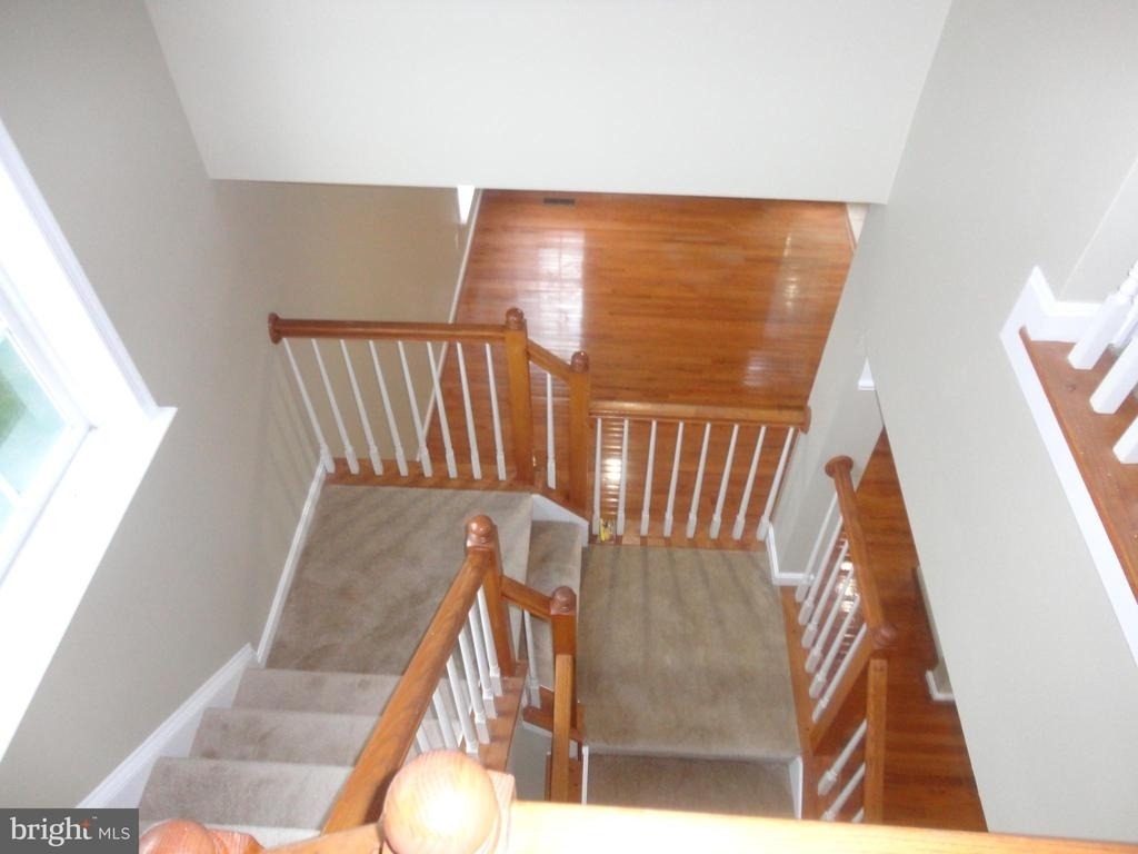 24753 Carbonate Terrace - Photo 20
