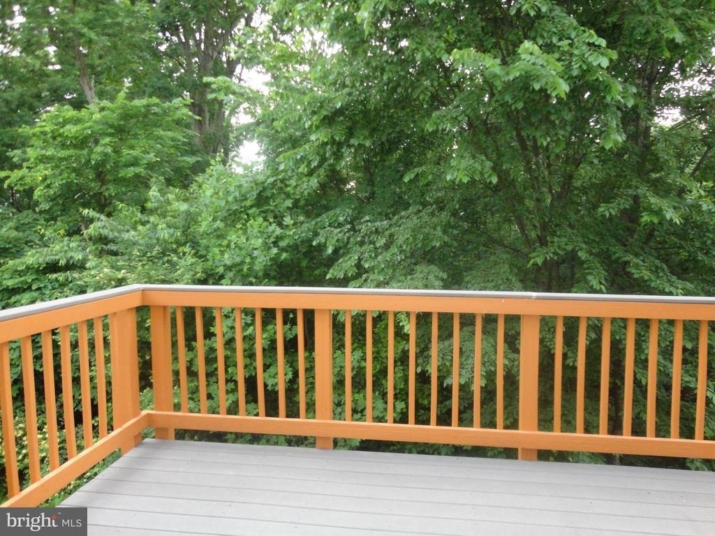 24753 Carbonate Terrace - Photo 38