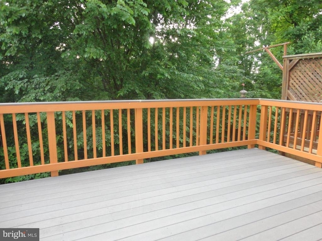 24753 Carbonate Terrace - Photo 37