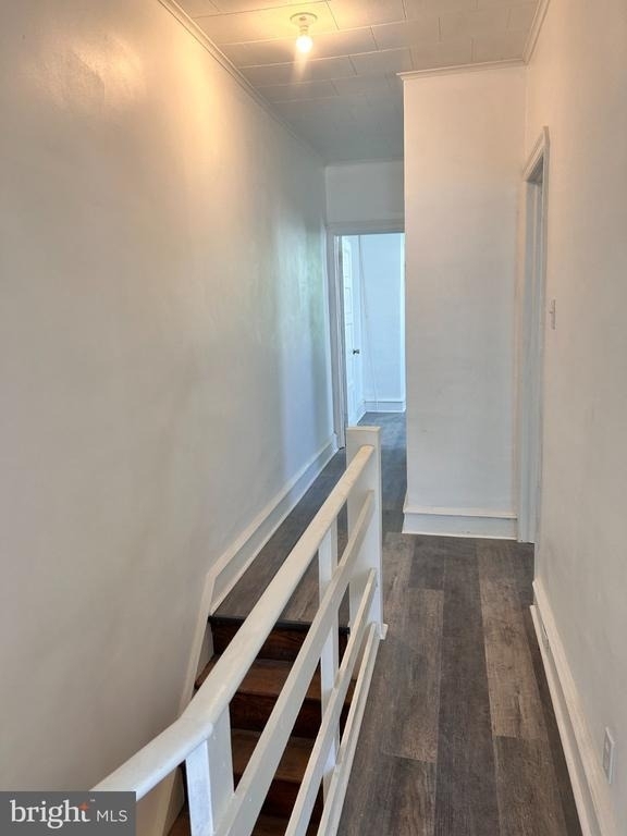 2019 Buckius Street - Photo 8