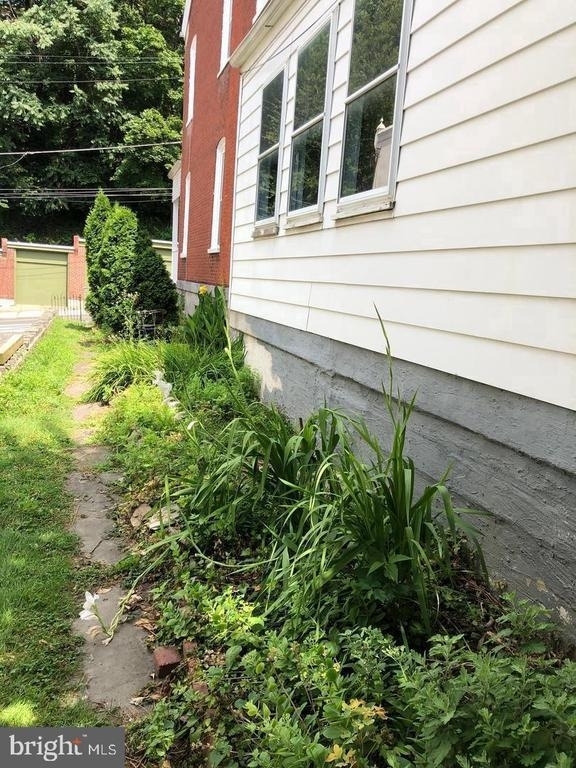 247 Green Lane - Photo 17