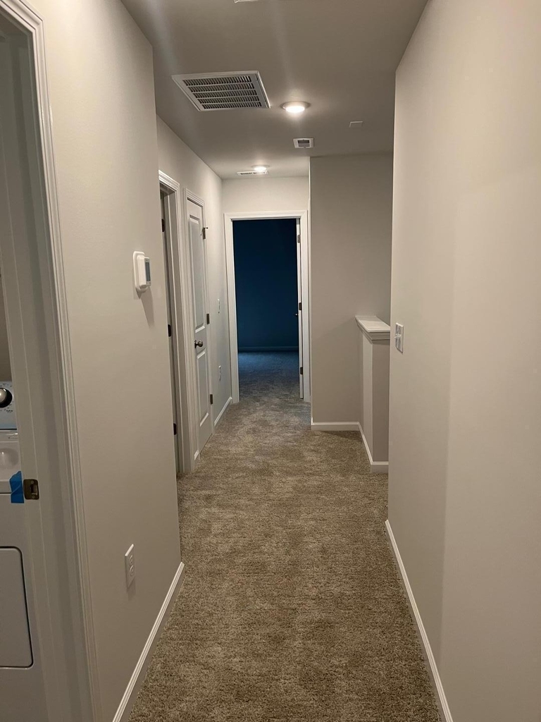 415 Ribbon Rail Street - Photo 18