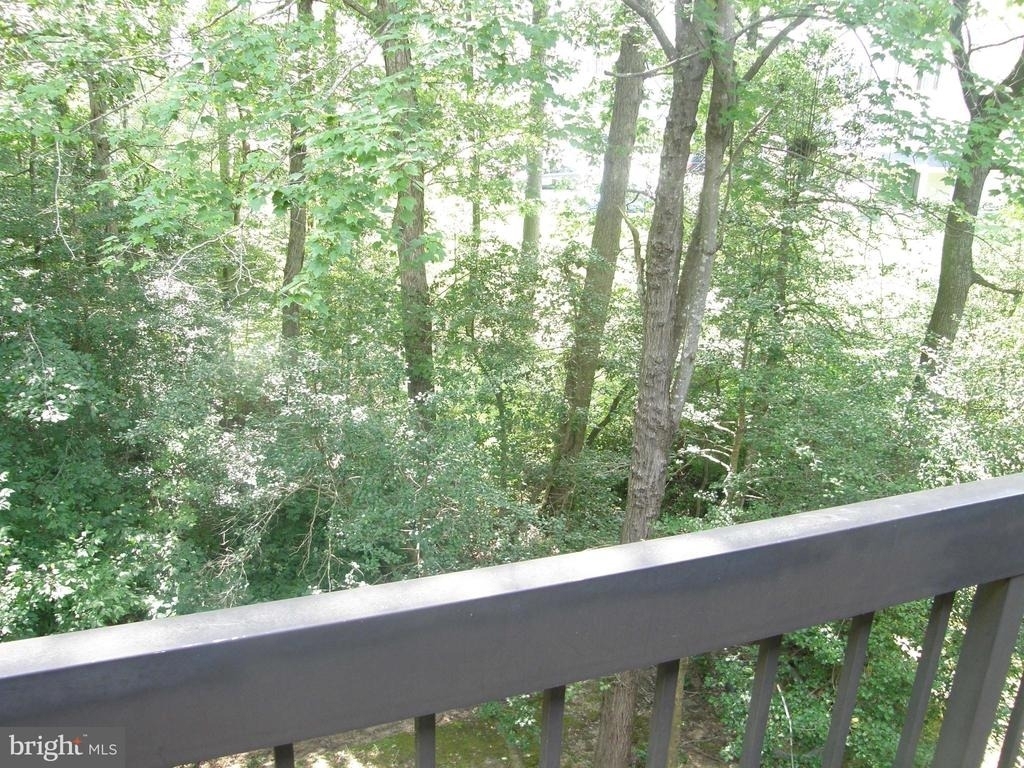 23306 Walnut Hollow Court - Photo 6