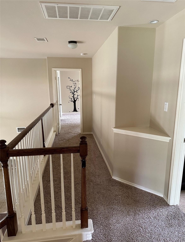 8633 White Ibis Dr - Photo 15