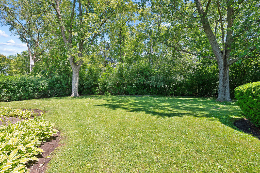 217 Willow Avenue - Photo 18