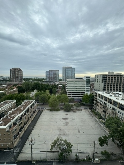 1845 S Michigan Avenue - Photo 30