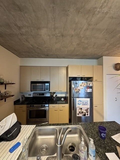 1845 S Michigan Avenue - Photo 4