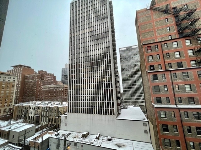1221 N Dearborn Street - Photo 7