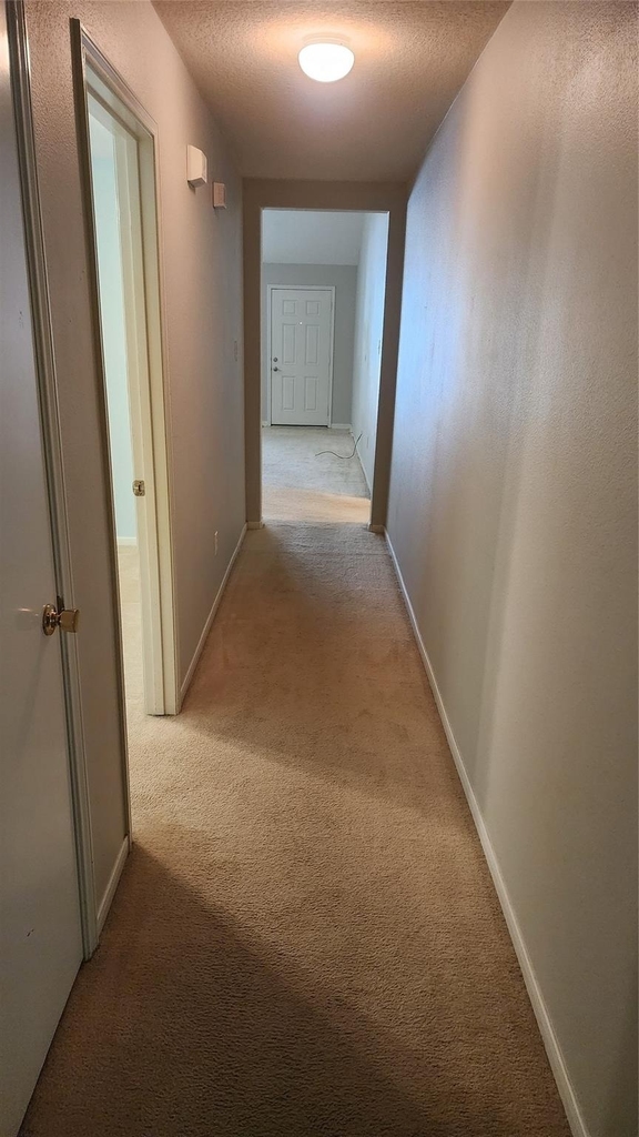 12214 Carriage Oak Circle - Photo 11