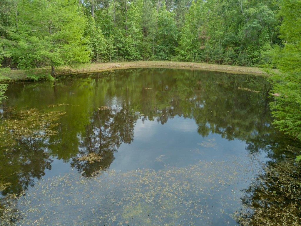 14701 Cedar Lane Loop - Photo 39