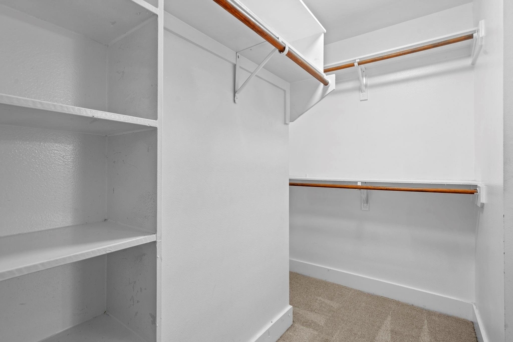 2154 Arabelle Street - Photo 39