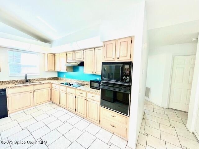2965 La Cita Lane - Photo 14