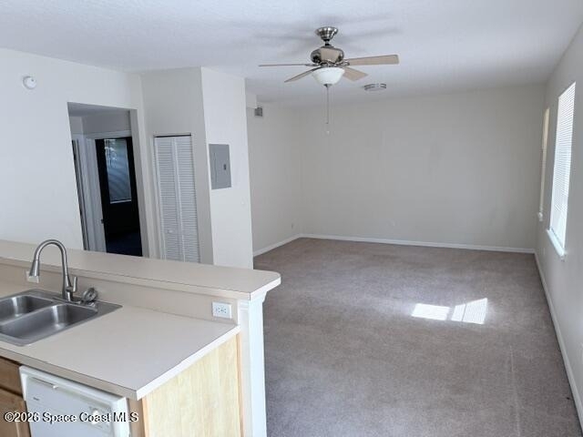 14 Carmalt Street - Photo 1