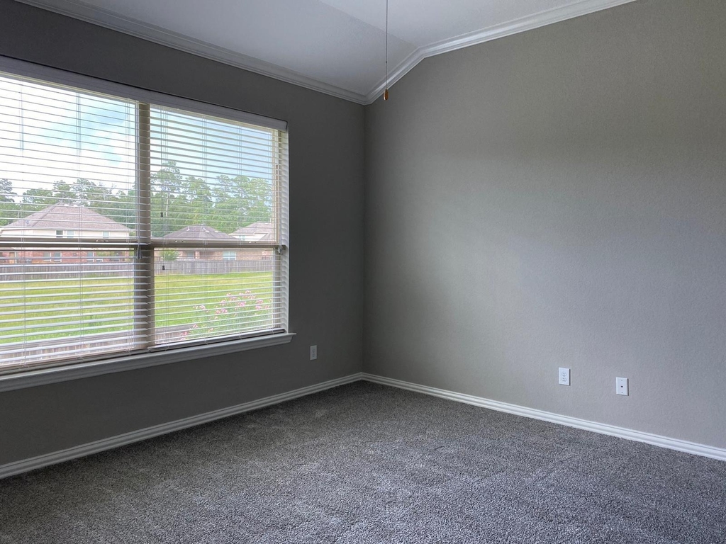 42 Black Swan Court - Photo 9