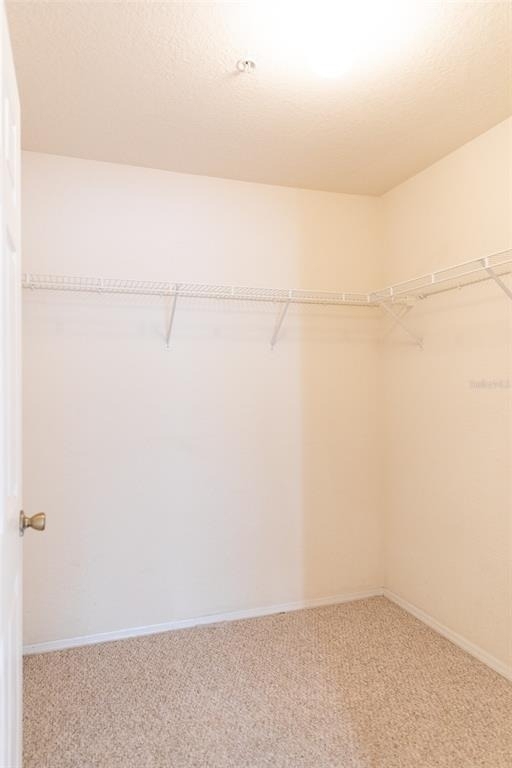822 Camargo Way - Photo 21