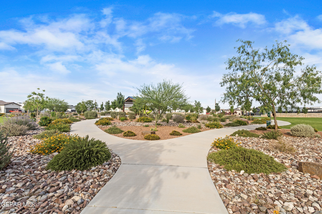 12729 Methley Avenue - Photo 59