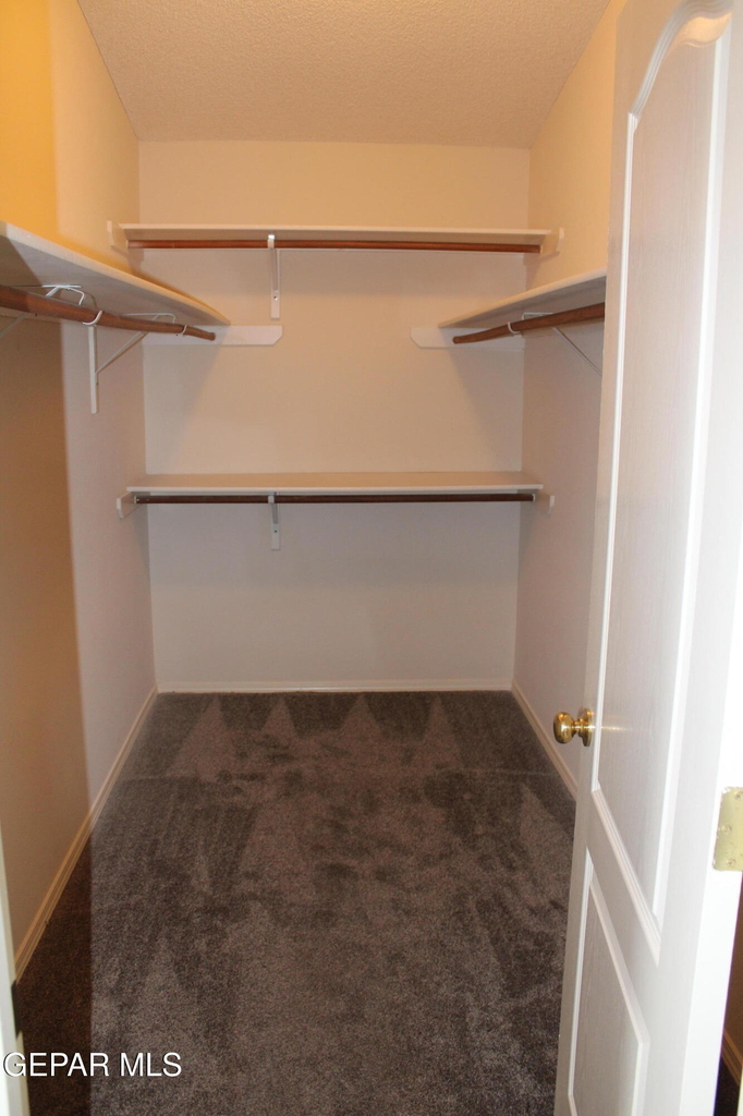 14313 Island Point Drive - Photo 12