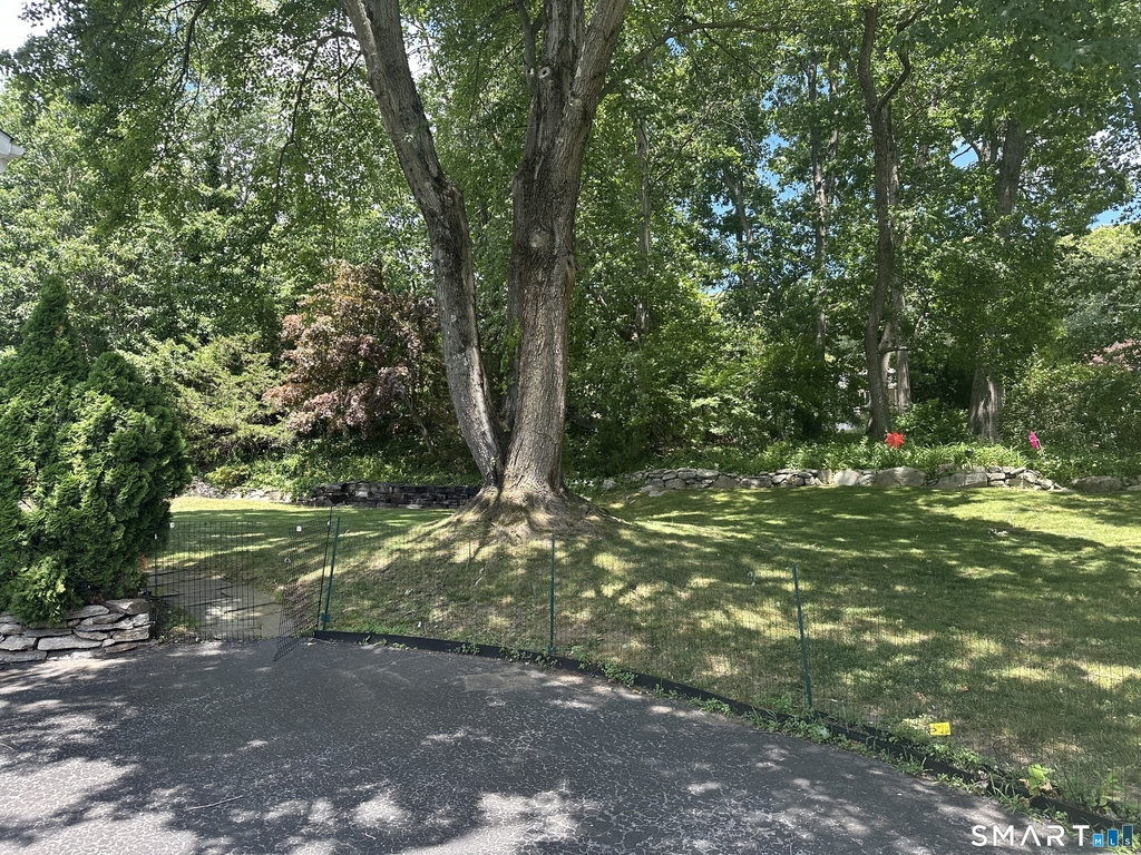 10 Donohue Drive - Photo 18