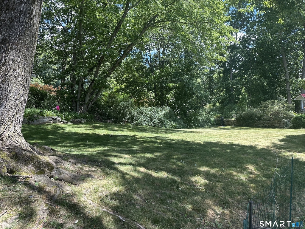 10 Donohue Drive - Photo 19