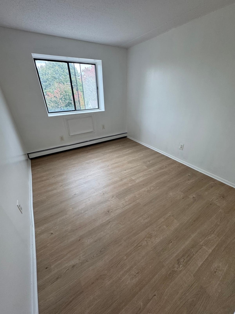 Clover Place & Cypress Ave - Photo 1