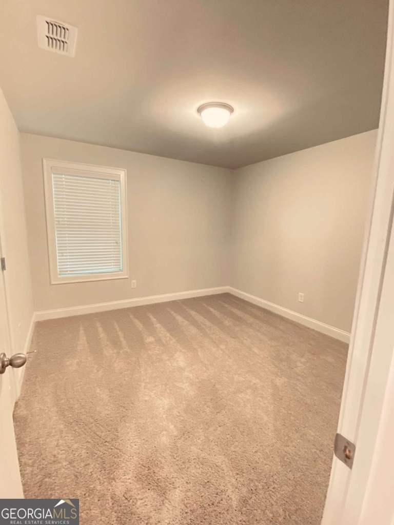 3290 Summerpoint Crossing - Photo 30