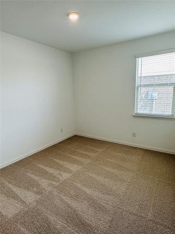239 Jenkinson Drive - Photo 15
