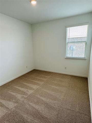 239 Jenkinson Drive - Photo 16