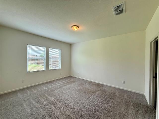 713 Cherry Blossom Street - Photo 11