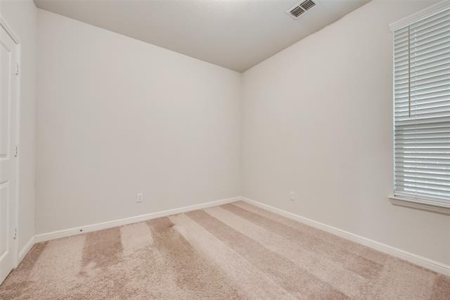 1308 Canary Lane - Photo 15