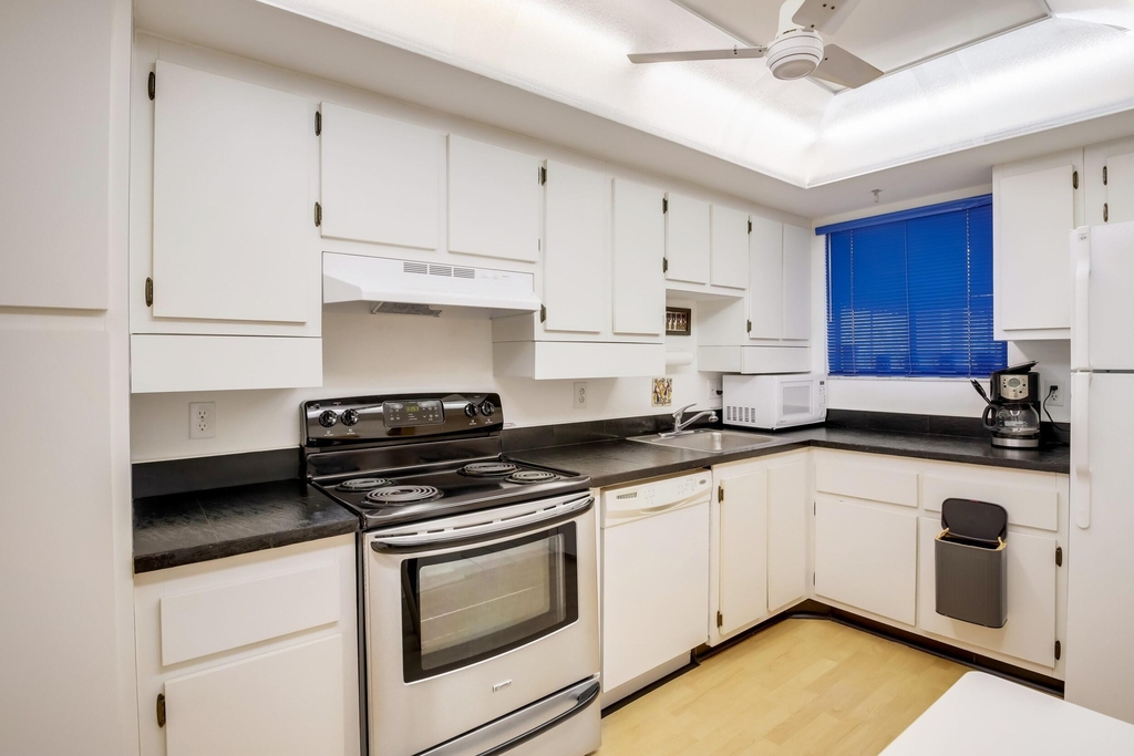 3154 Via Poinciana - Photo 7