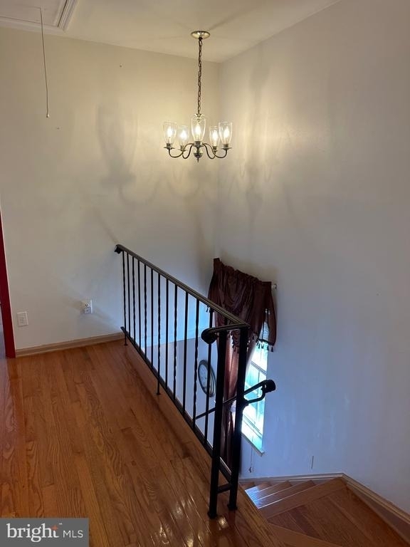4002 Summer Hollow Court - Photo 14