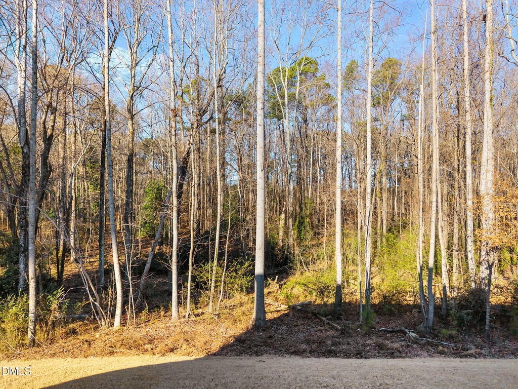 103 Equinox Rdg Terrace - Photo 40