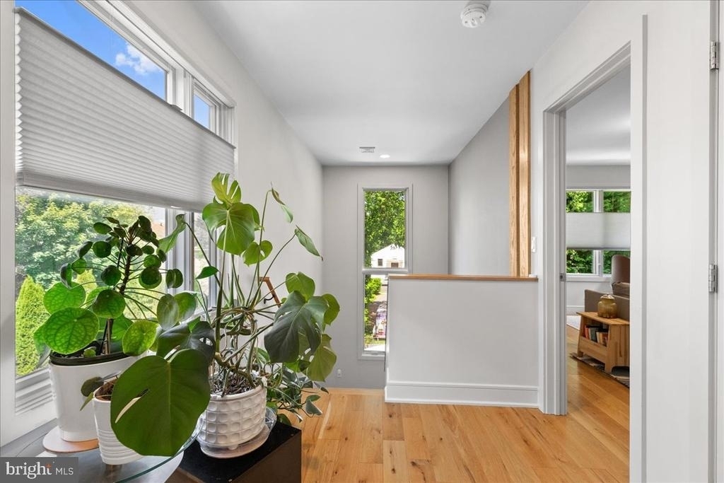 23 Leigh Avenue - Photo 3