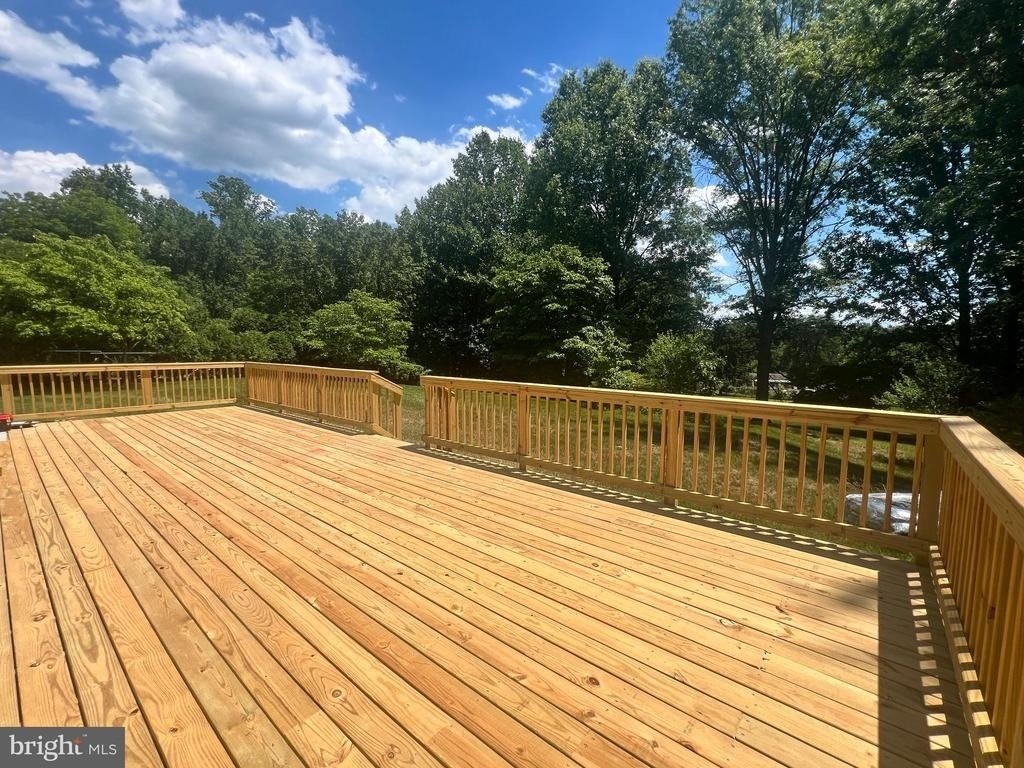 12405 Shafer Lane - Photo 11