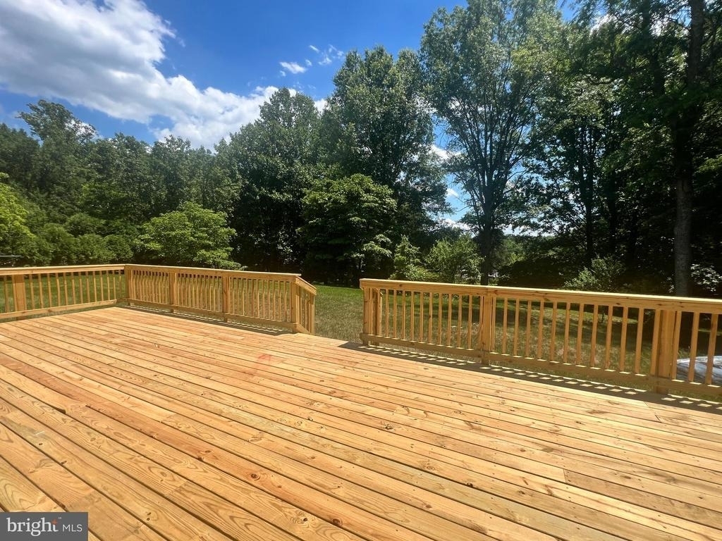 12405 Shafer Lane - Photo 12