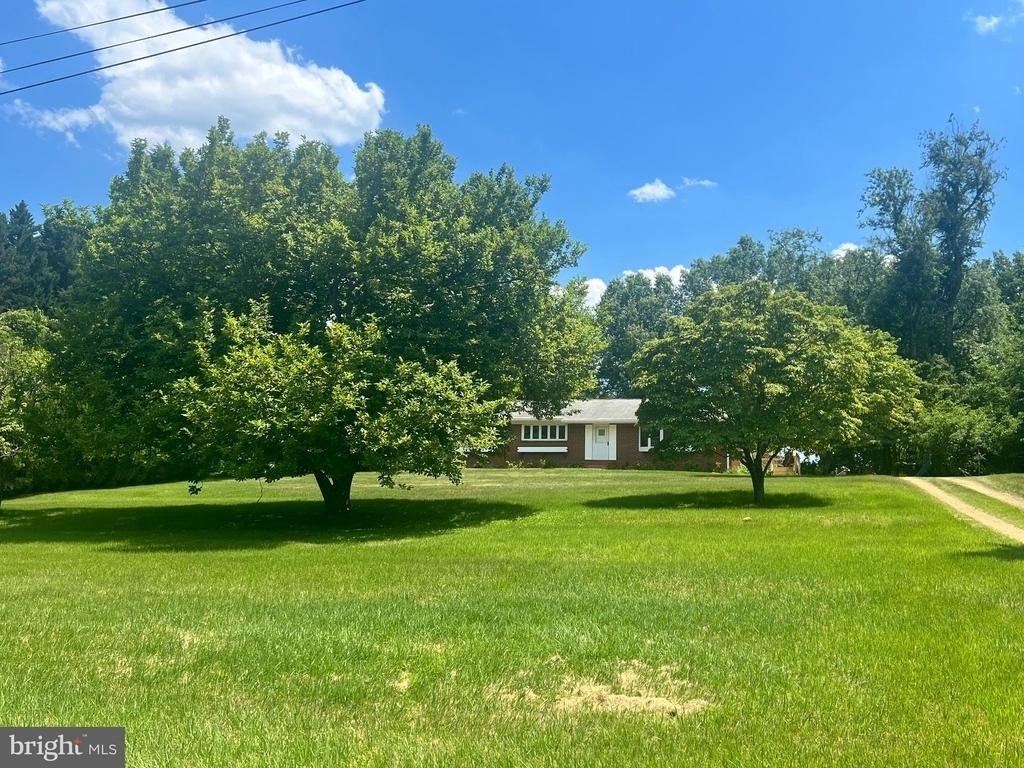 12405 Shafer Lane - Photo 1