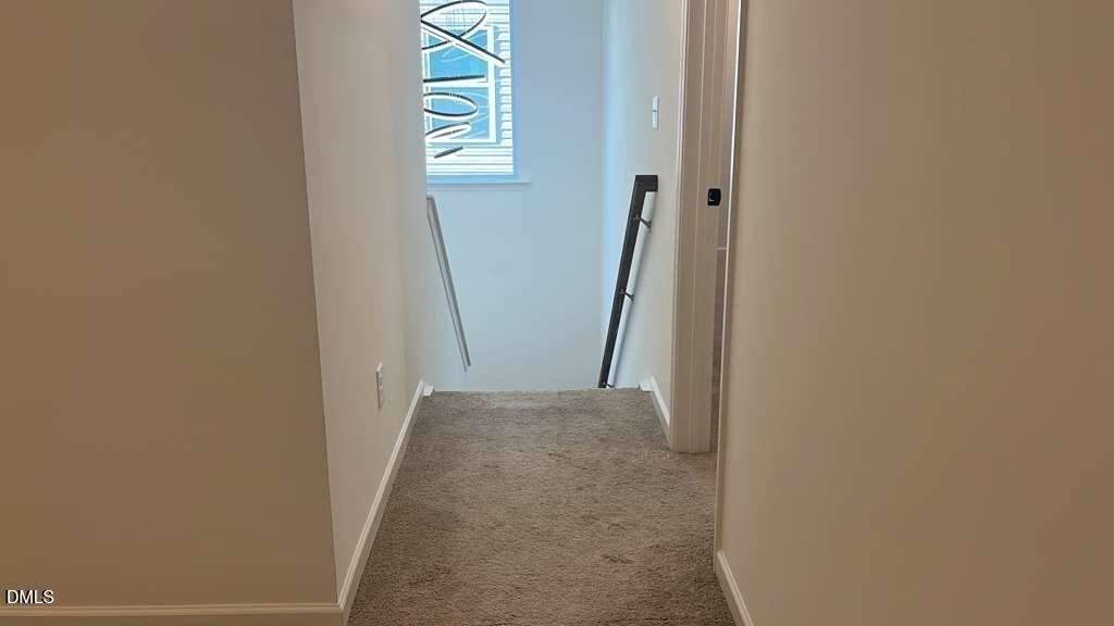 1316 Amos Pk Street - Photo 32