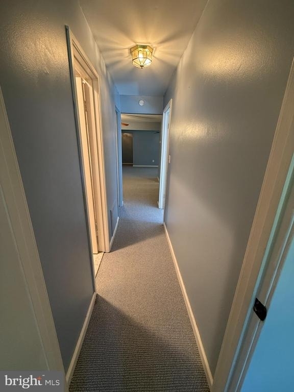 8709 Hayshed Lane - Photo 22