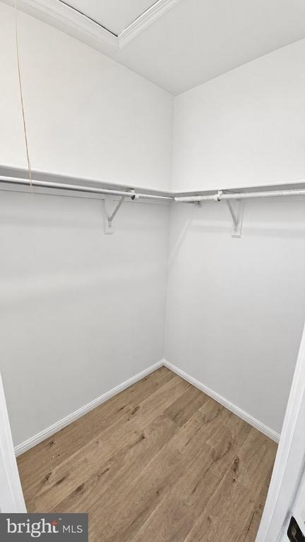 3447 Iris Place - Photo 22