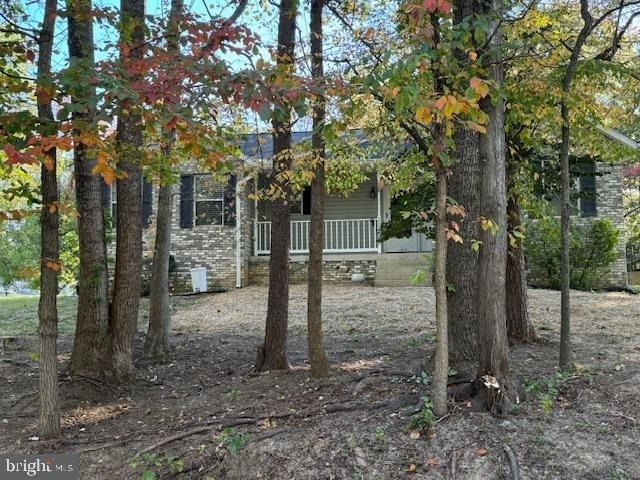 11295 Sitting Bull Circle - Photo 9