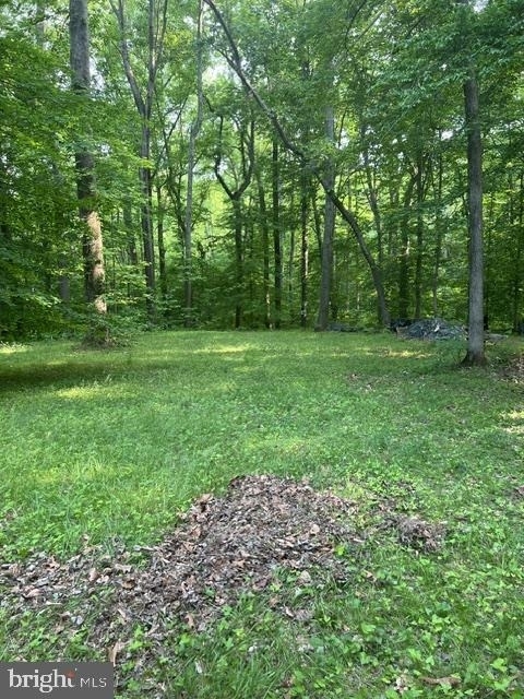 1007 Lee Jackson Drive - Photo 24