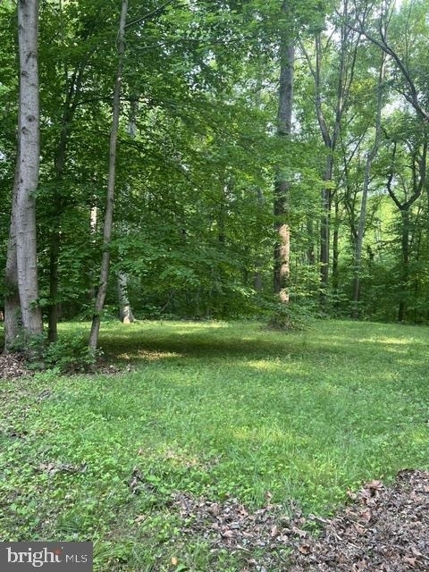 1007 Lee Jackson Drive - Photo 26